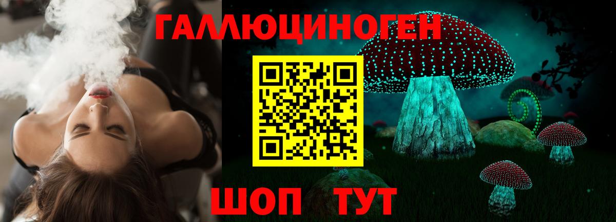как найти закладки  Галлюциногенные грибы мухоморы  Псилоцибиновые грибы GOLDEN TEACHER  Вход с VPN  Ейск 